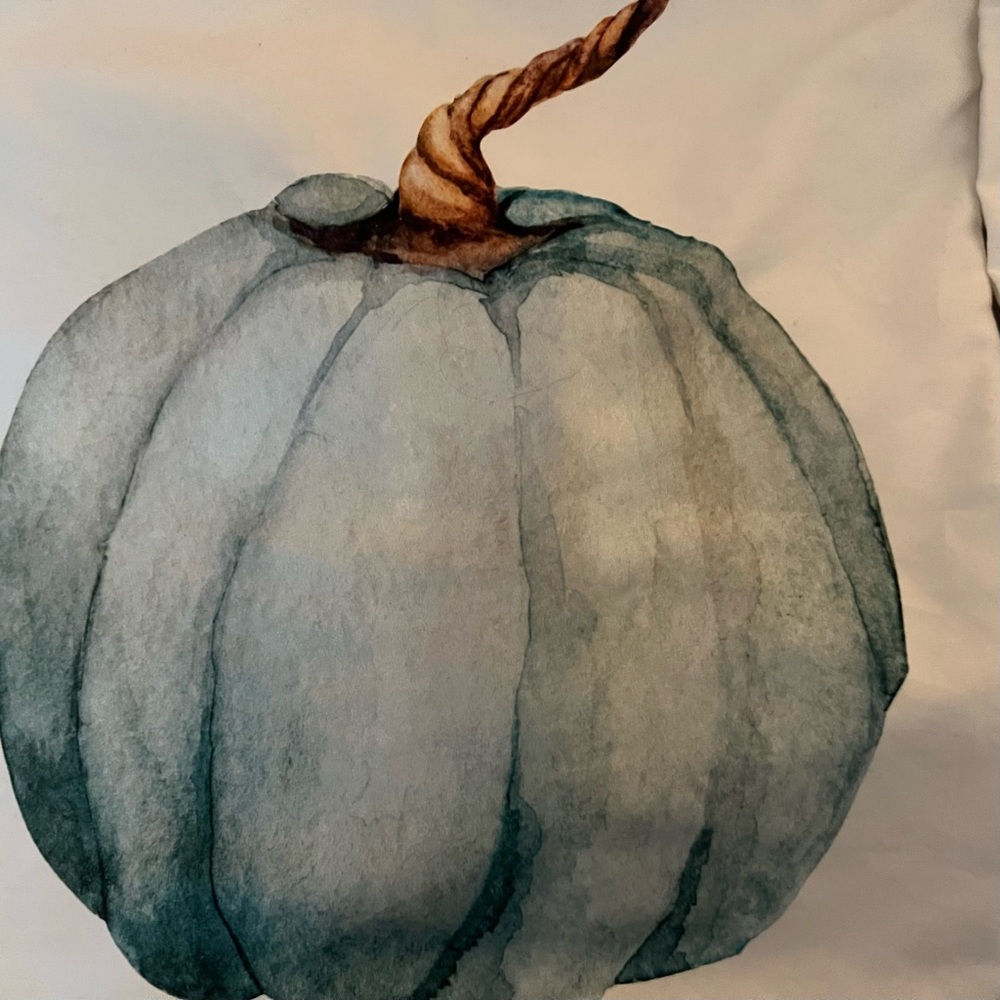 Four Pillow Covers